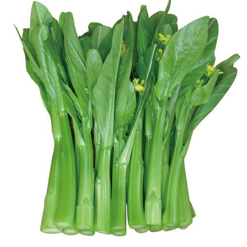 广东四九菜心种子四季播春秋冬季红菜苔青菜种籽蔬菜庭院易种盆栽