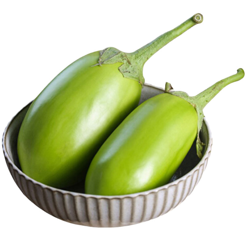 绿罐茄子绿皮四季秋冬春季夏秋冬高产早熟圆茄家庭园艺种子