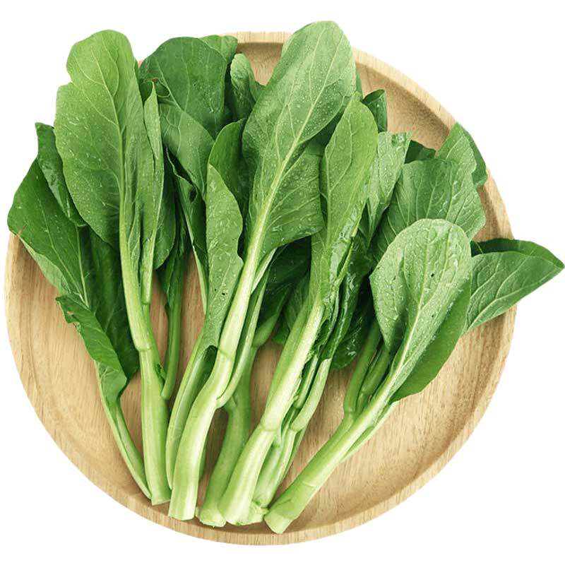 粗条甜芥兰种子芥蓝种籽家庭种菜大田种植春季夏冬四季播蔬菜种孑