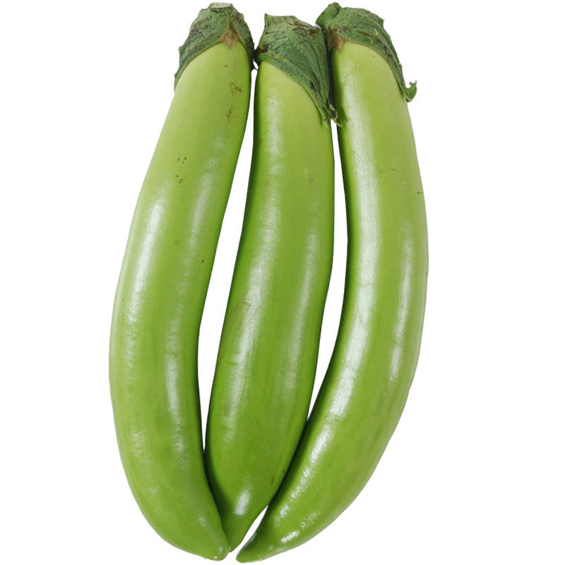 蔬菜种籽孑杭茄一号长茄种子青圆绿黑紫色特大烧烤茄子春夏秋四季