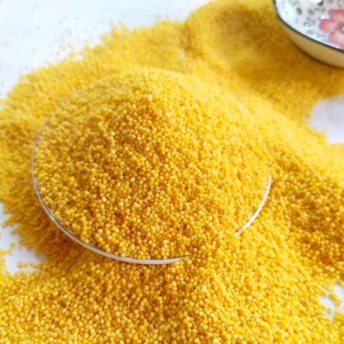 新米小米粥米5斤五谷杂粮粗粮食吃黄小米农家米新小米