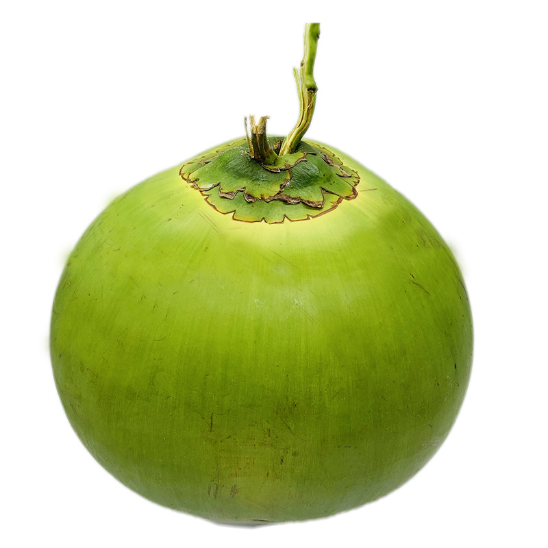 椰子海南椰青4个带皮文昌三亚新鲜水果现摘椰青