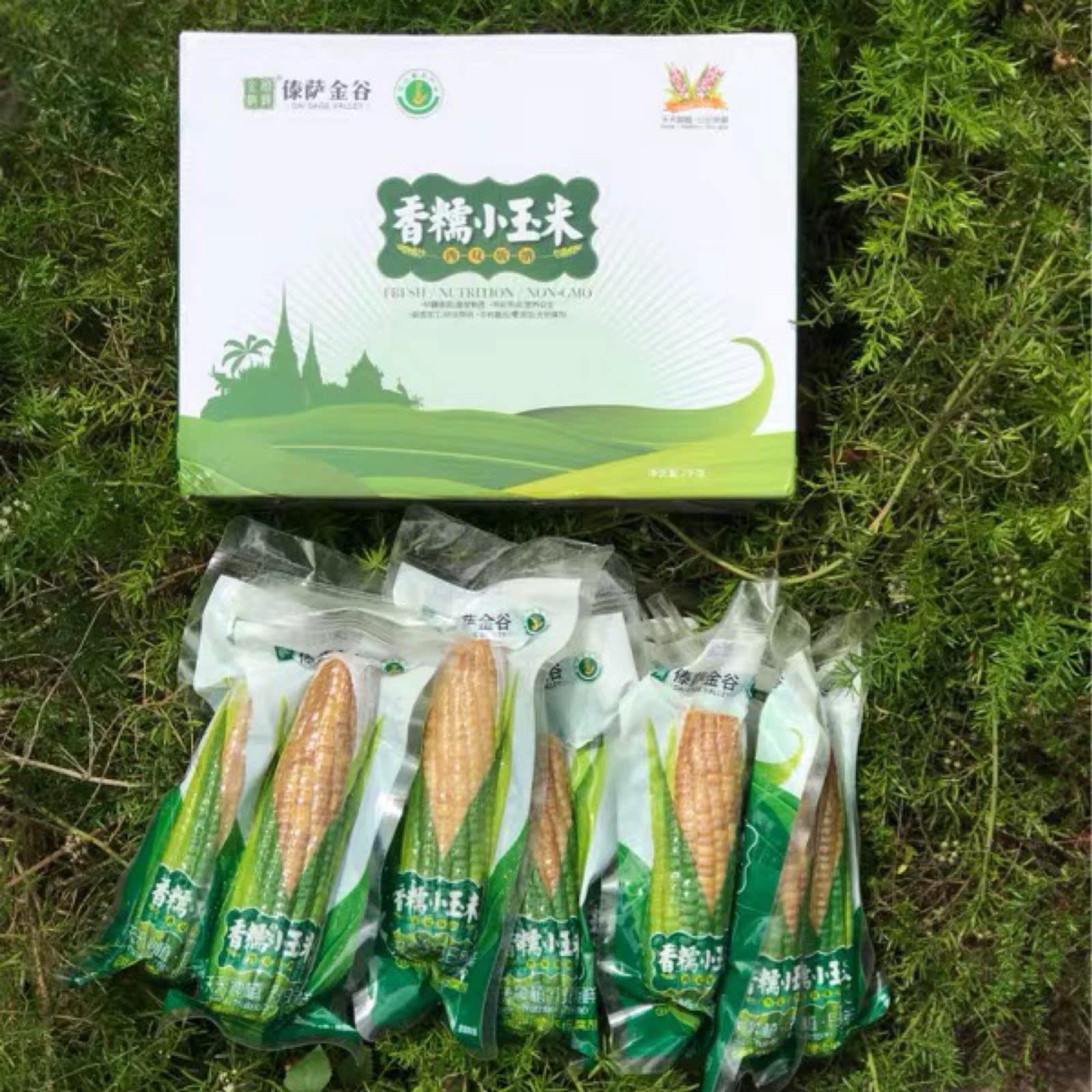傣萨金谷开心傣农云南西双版纳香糯小玉米4斤礼盒玉米