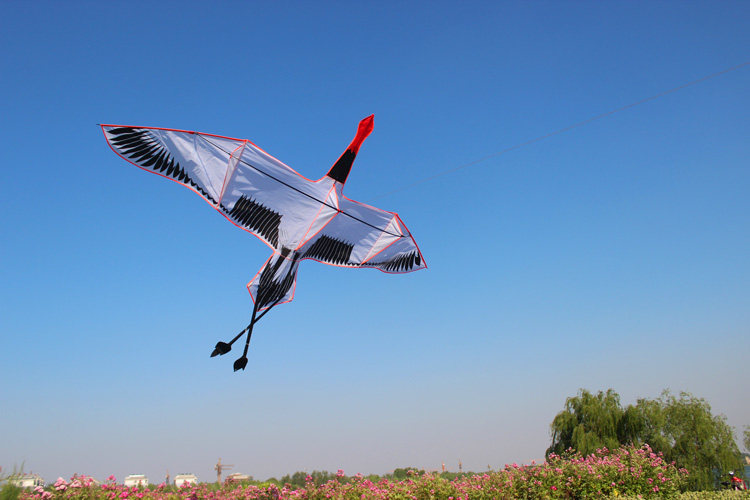 风筝潍坊初学者撑杆3米仙鹤小风不难难飞风筝