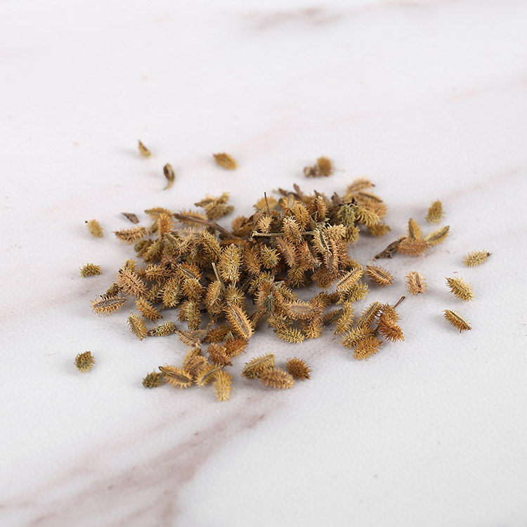 鹤虱野生500g南鹤中药材供应萝卜2件包邮其他药食同源食品