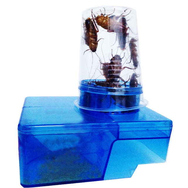 练氏家用蟑螂捕捉器 全窝端 诱捕器粘板驱赶蟑螂屋杀抓蟑螂胶饵药