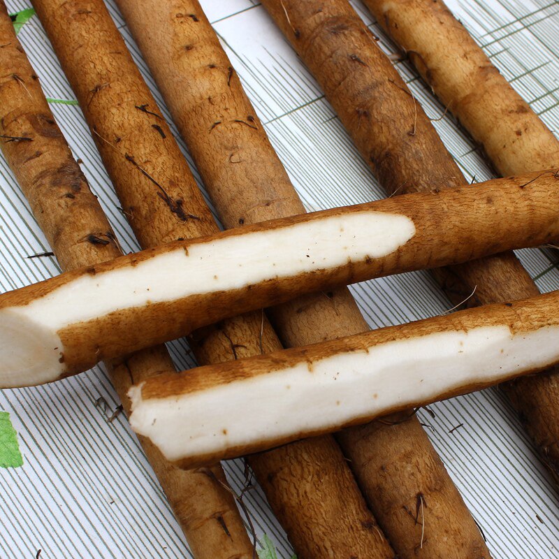 牛蒡2021现挖黄金新鲜黄皮牛膀牛旁养生茶片养生茶