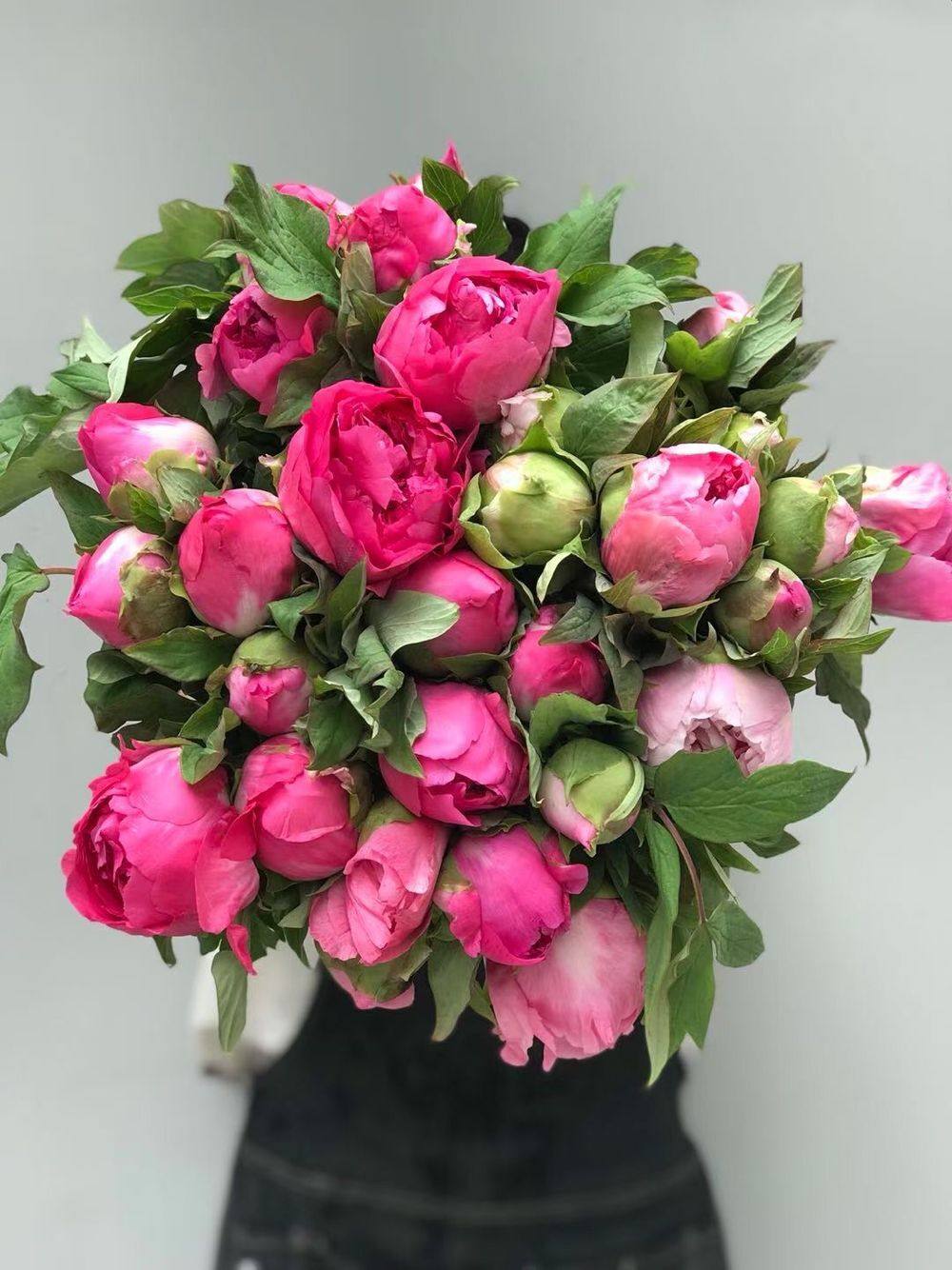 牡丹鲜花芍药鲜切花束母亲节重瓣家庭用花鲜花速递同城
