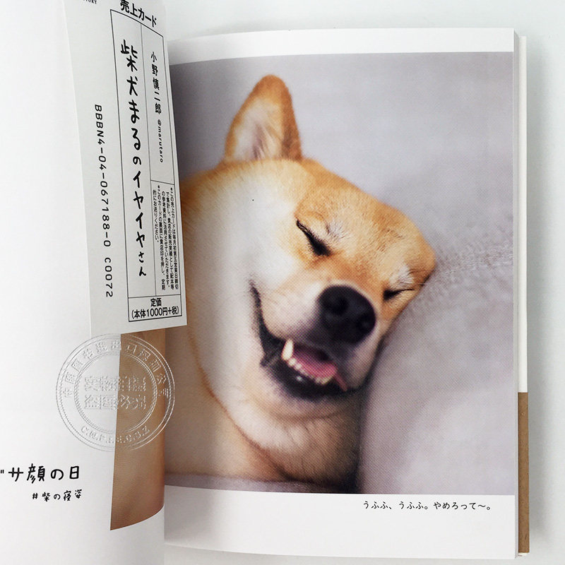 现货深图日文柴犬まるのイヤイヤさん狗狗写真日本摄影集日文原版进口