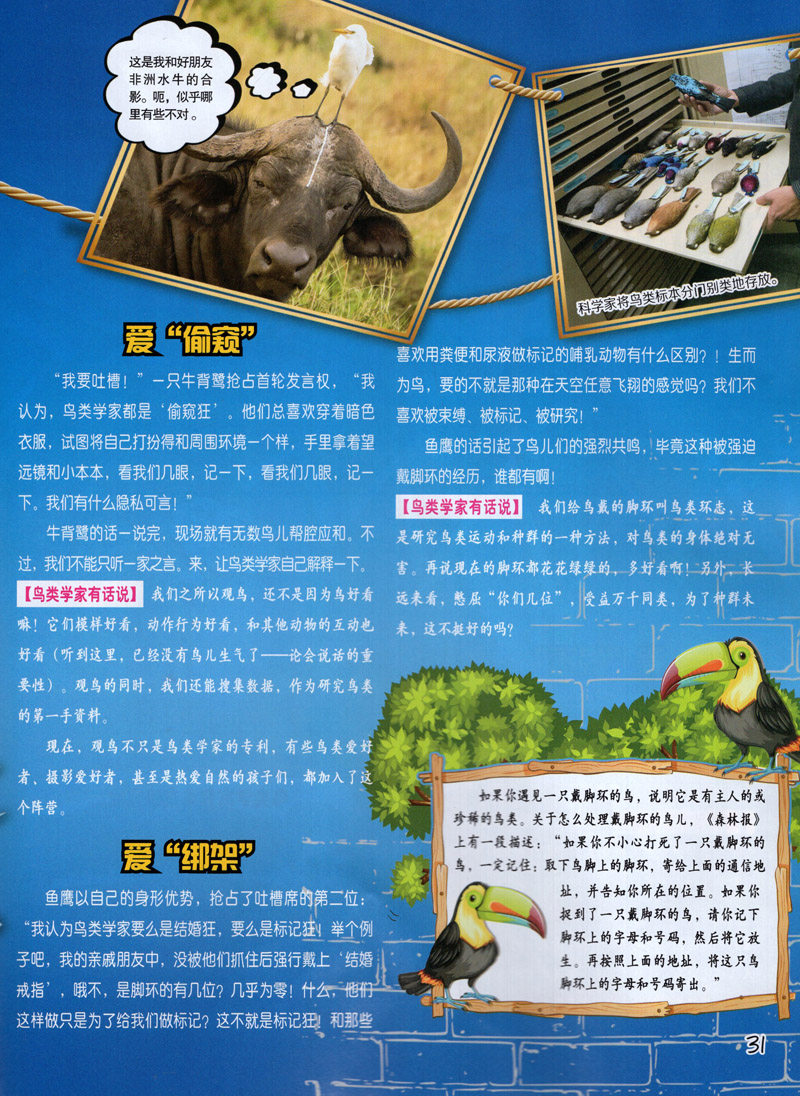 小哥白尼野生动物画报杂志2019年第1期 我们一起学猫叫鸟类学家吐槽
