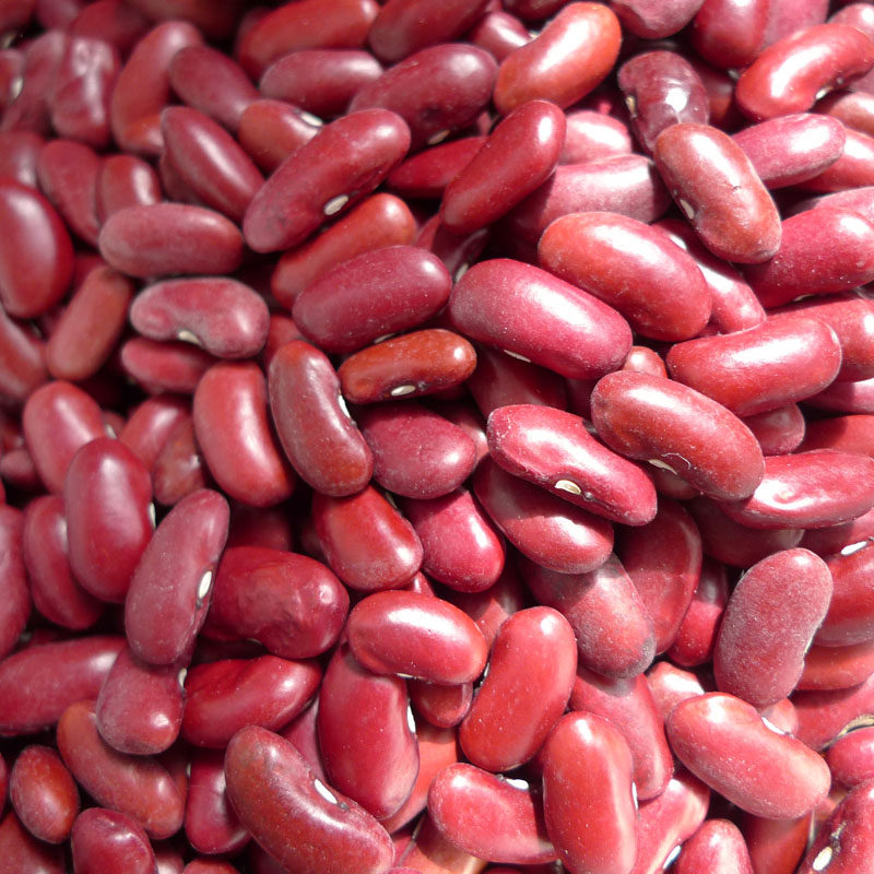 大红2020年红腰新货芸豆坝上红豆豆馅甜品专用其它