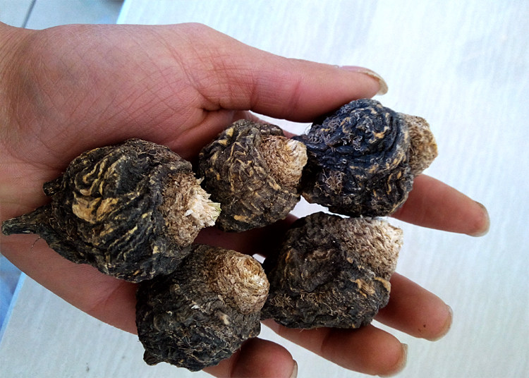 黑玛卡干果云南马玛咖片粉丽江滋补马卡吗咔农家野生泡水茶泡酒料