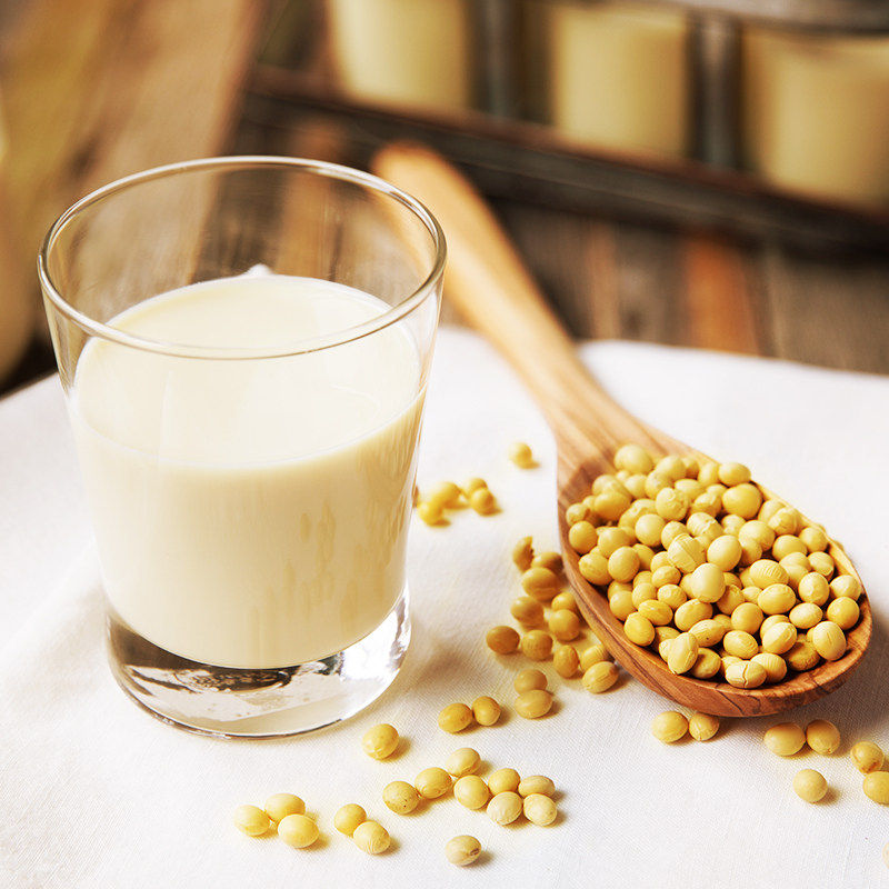 豆本豆原味豆奶250ml*6盒低脂无添加剂早餐健康营养豆奶好吸收