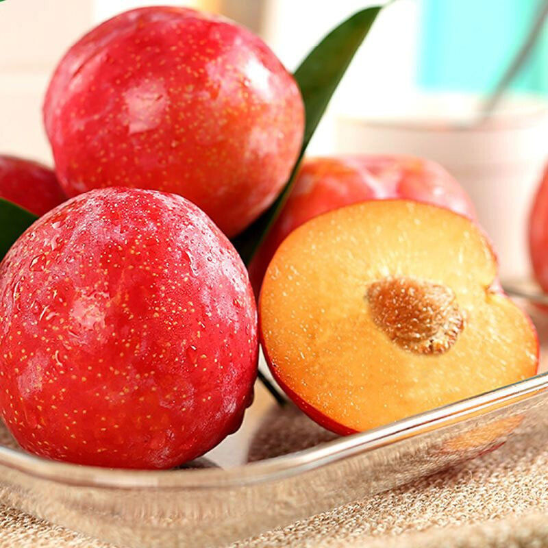 国产红布布林李子5斤家庭单果70g以上当季李子