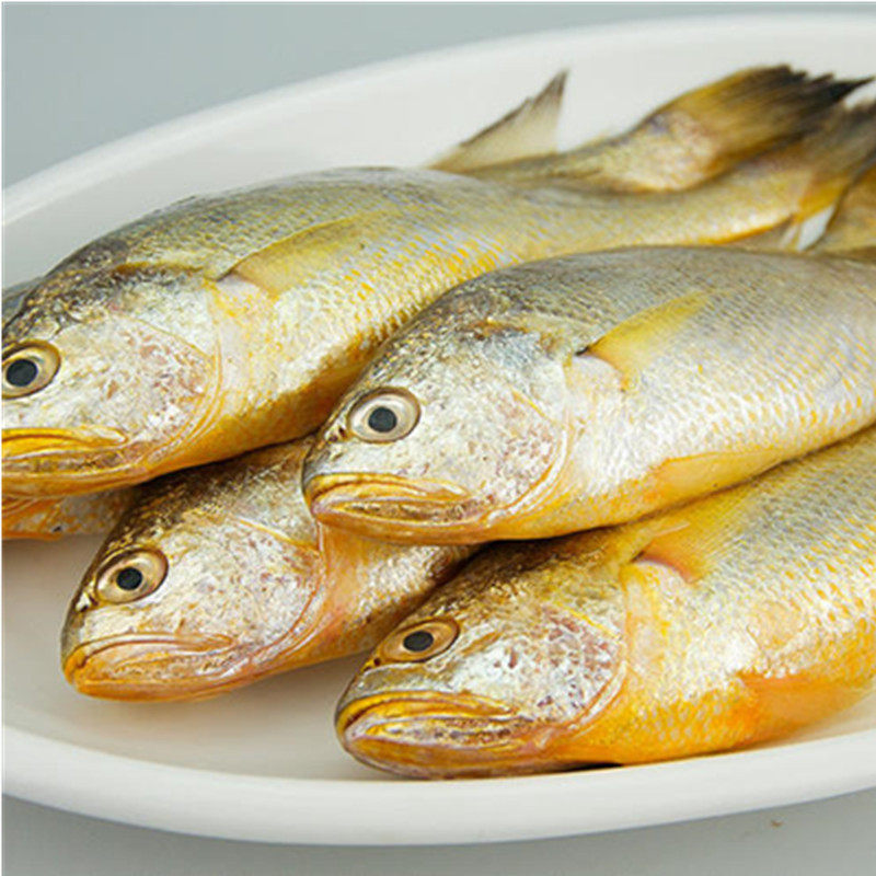 润之家舟山小黄黄鱼300g黄鱼