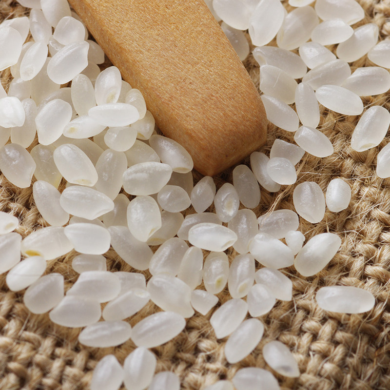 大米雪龙龙瑞斯香稻贡米5kg正宗东北米饭煮粥大米