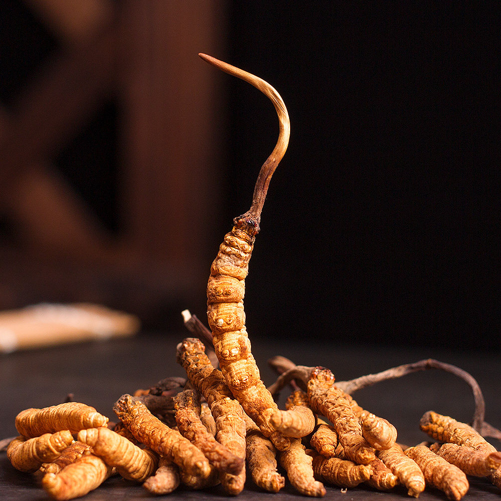 南京同仁堂冬虫夏草青海野生虫草正品干货冬虫草西藏冬虫夏草