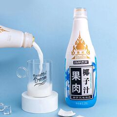 椰子泡泡泰式果肉椰子汁1.25L*2大瓶家庭早餐椰汁生椰拿铁饮料鲜价格比较