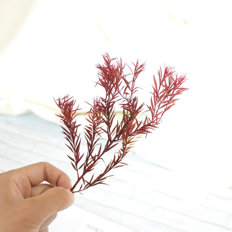 大地农园日本保鲜花永生花寸寸金叶材茶树叶 01250国产千层金叶子