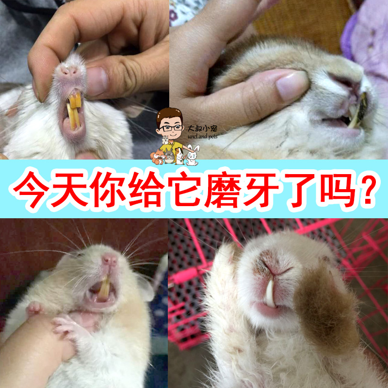 苹果枝磨牙棒木 宠物仓鼠金丝熊松鼠豚鼠荷兰猪龙猫兔子磨牙用品