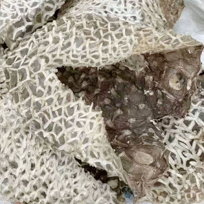 深海野生大号刺猬皮刺龟鱼干货刺豚海胆煲汤鱼干
