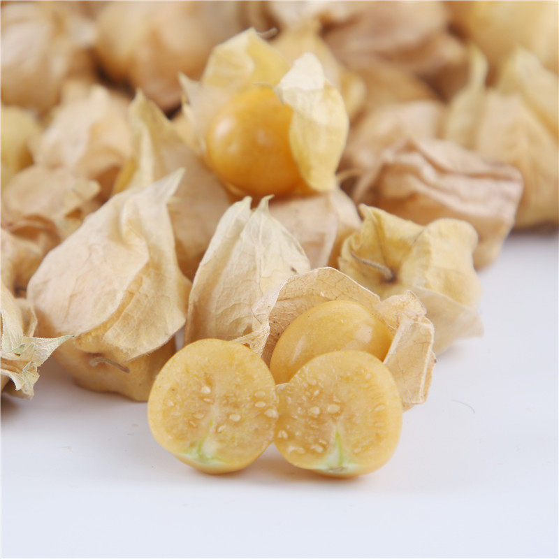 姑娘云南南新开园东北特产大小小黄黄菇娘新鲜其它