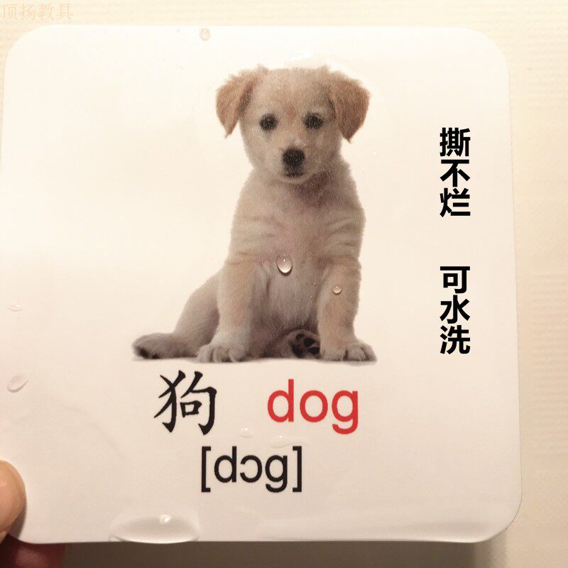 卡片单词幼儿儿童有声动物认知英文英语发声玩具挂图