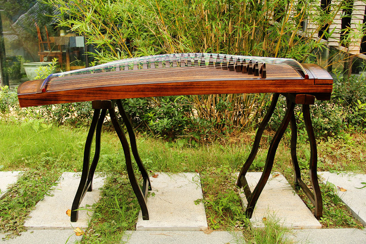 3米实木桐木专业演奏级便携式小古筝琴入门初学考级短筝 黑檀边