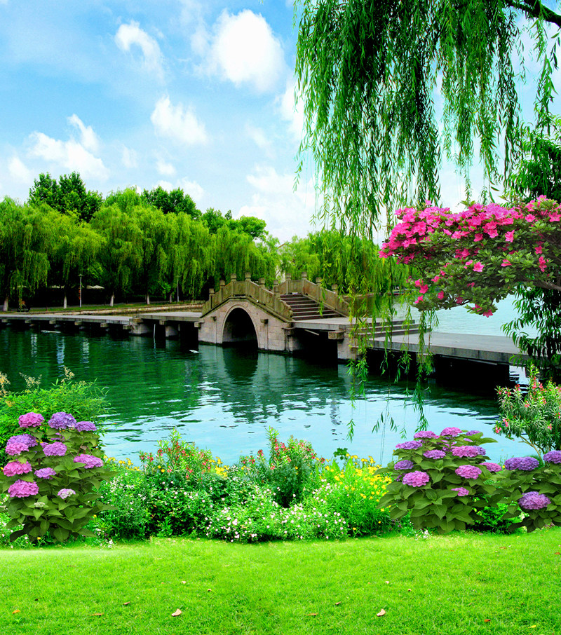 新款网红主播背景直播间装饰背景墙外景山水风景背景布类