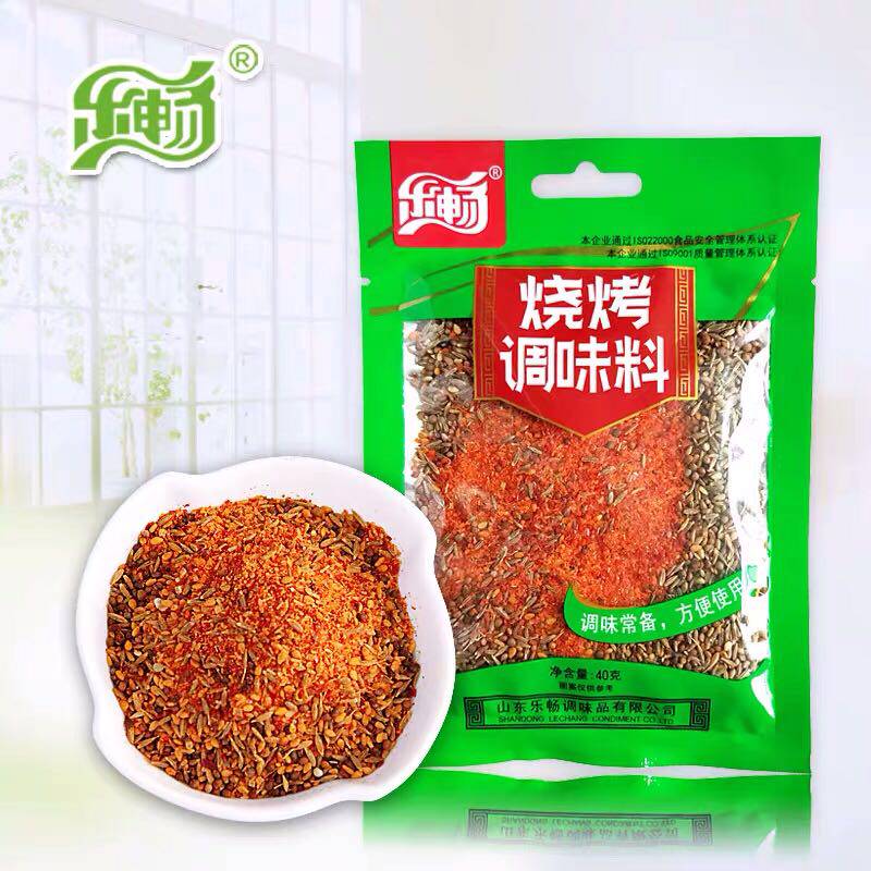 烧烤2袋包邮乐畅禹记王中王调味料撒料40g烧烤调料