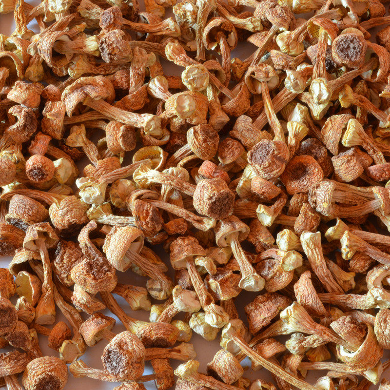 松茸姬松武夷山福建土特产干货巴西250克姬松茸