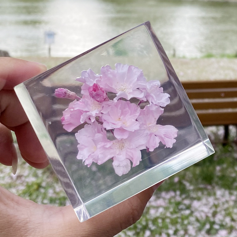 日本樱花立方体标本纯手工高端摆件生日礼物七夕情人节礼品送女友