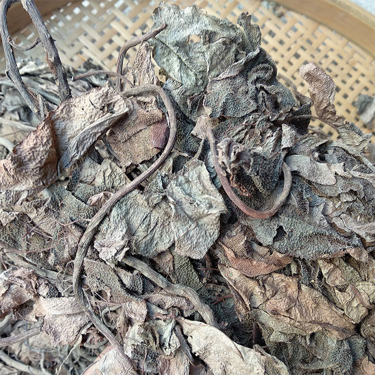 中草药新品野生无硫优质虎舌红天天仙红农红地毯其他药食同源食品