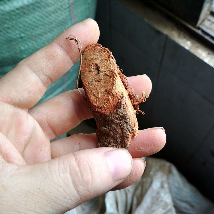 兴宁罗岗苎麻根干竺麻根抽根抽叶粄根安胎茶500g优质切片