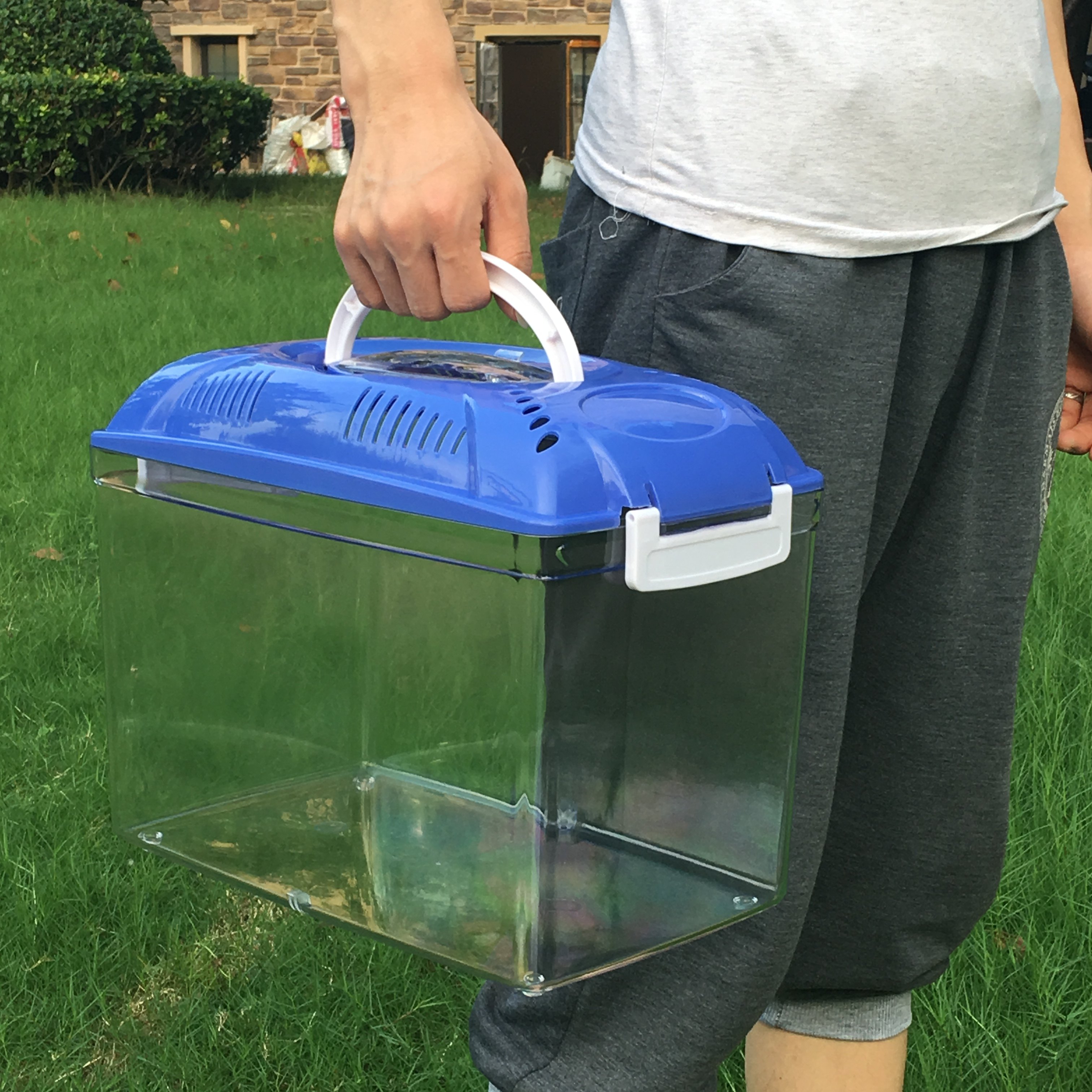 pvc加厚乌龟盒金鱼盒 仓鼠外带透明盒子 手提塑料盒乌龟缸鱼缸