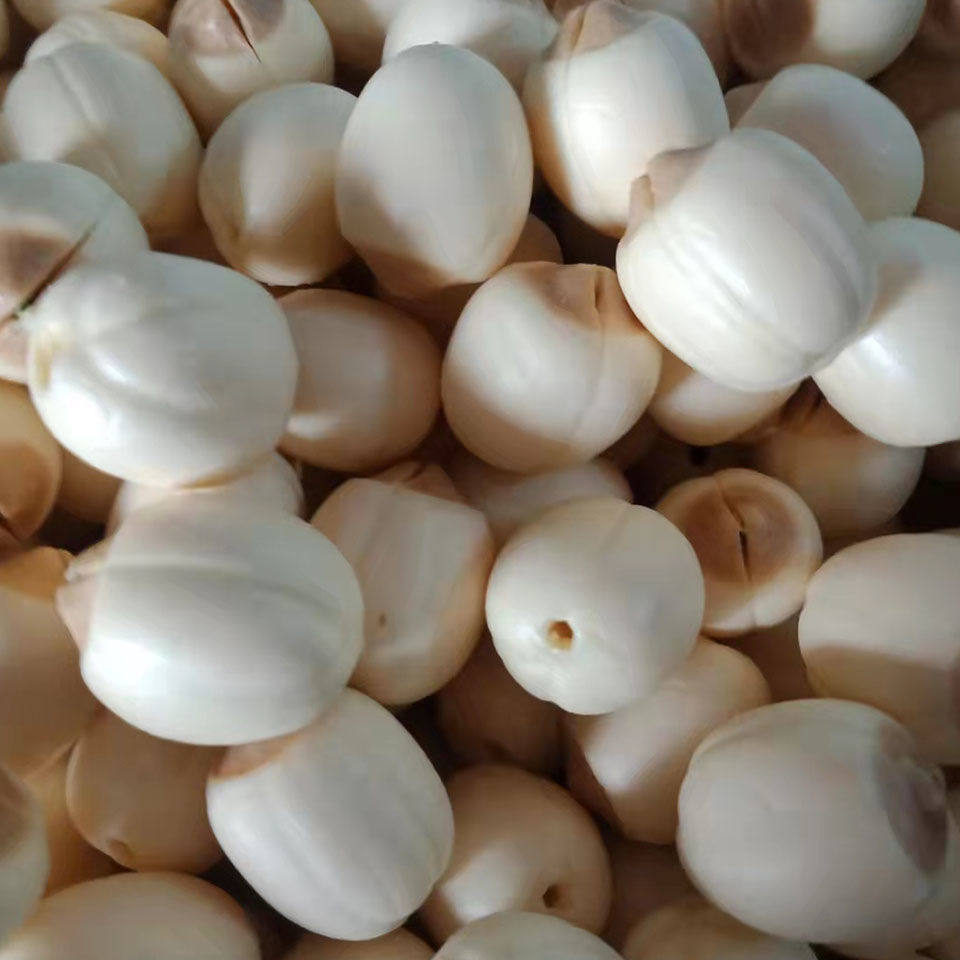 莲子2022年手工白莲子去芯去皮剥壳江西现摘莲米新鲜莲蓬