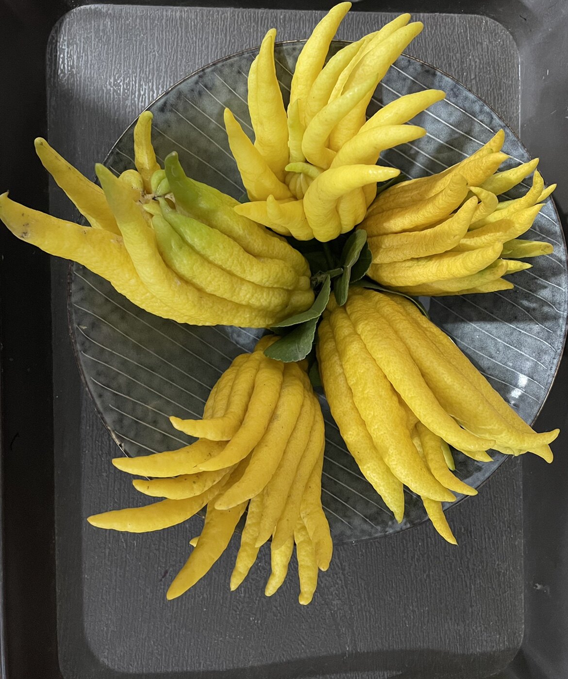 佛手小果金华清供把玩观赏带枝水养净化环境佛手果