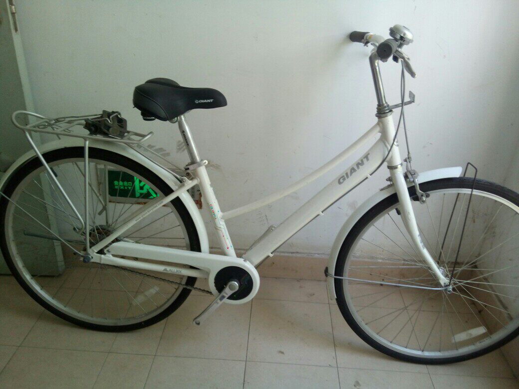 捷安特汉特二手莉莉马斯特master卡乐福轻便车