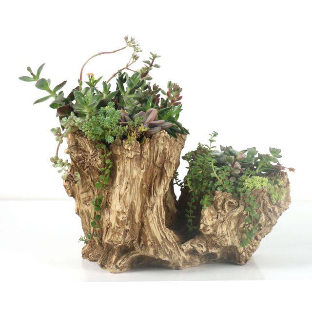 仿木多肉花盆复古特大号木桩枯木木头植物园艺花盆