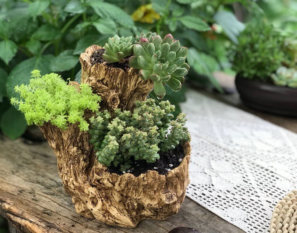 创意复古多肉组合花盆多孔大口径枯木花盆