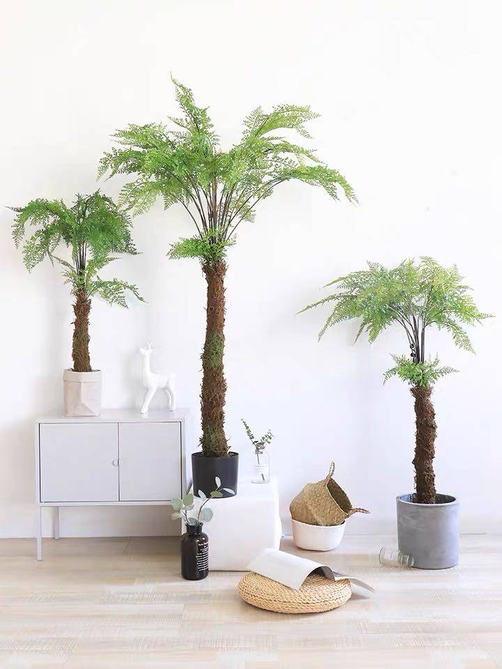 仿真蕨树沙罗罗树蕨类植物蕨叶绿植盆栽大型仿真花