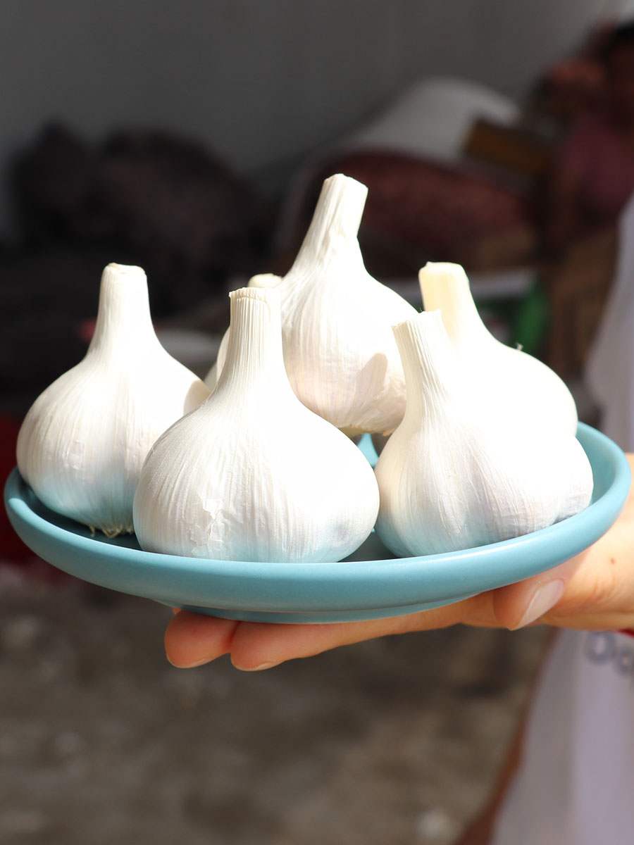 20年正宗白皮品种兰陵苍山蒜头新鲜山东5斤大蒜