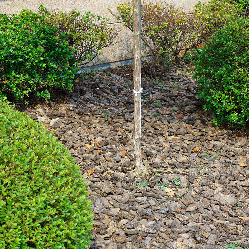 花彩师松鳞铺面覆盖物隔热防杂草庭院花园地面有机松树皮发酵介质