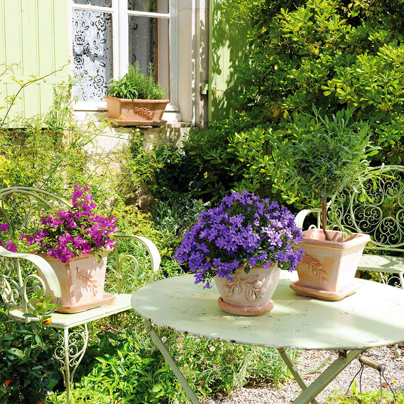 虹越帝罗马deroma橄榄枝方型红陶土花盆透气透水抗冻欧式经典款