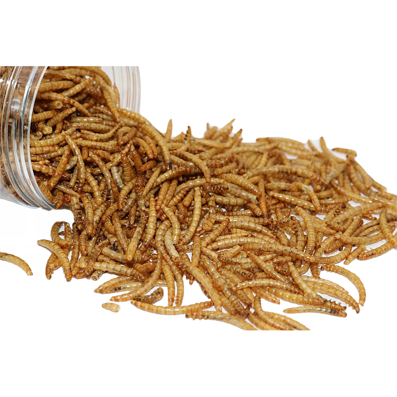 宠物面包包虫干黄粉虫龙猫仓鼠粮食龙鱼饲料观赏鱼饲料