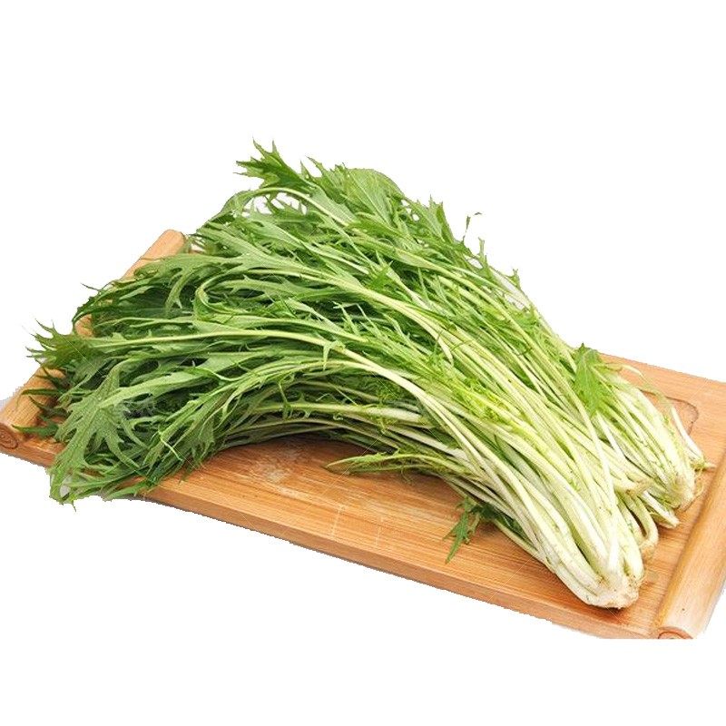 菜种蔬菜子白千筋紫晶水晶菜特阳台盆栽四季家庭园艺种子