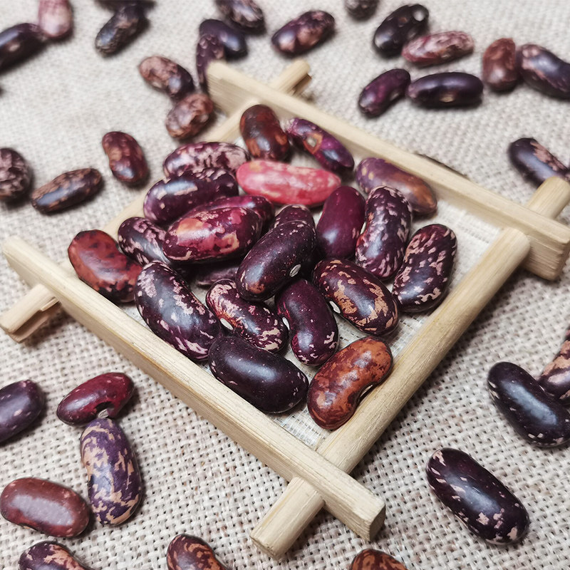 花腰豆花芸豆新鲜农家自产红扁花腰豆四季豆菜豆红紫花饭豆500g