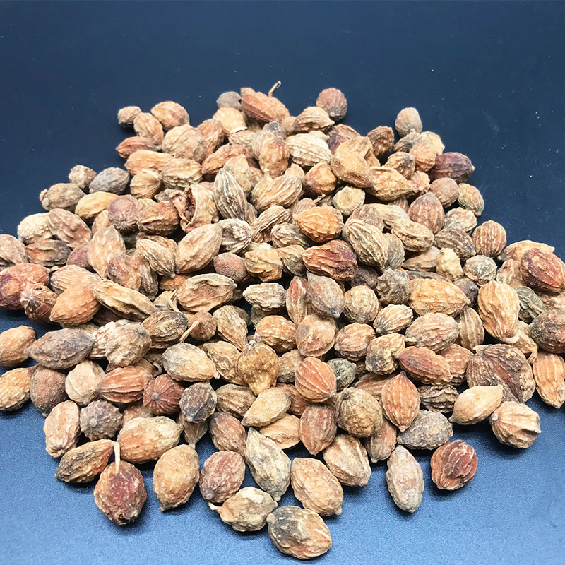 砂仁益智500g包邮砂野生特级小砂卤肉香料调料花椒
