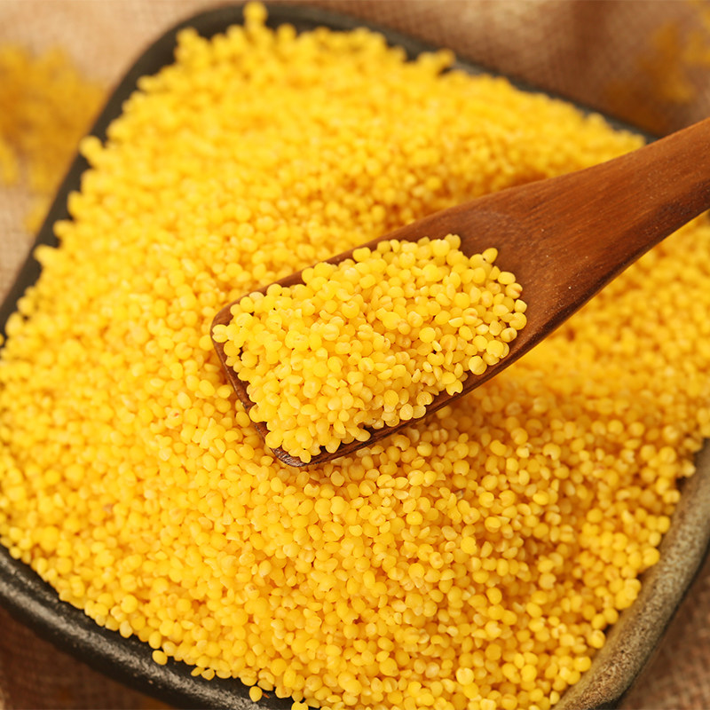 内蒙古小米敖汉500g3袋黄小米五谷杂粮2021年新米小米