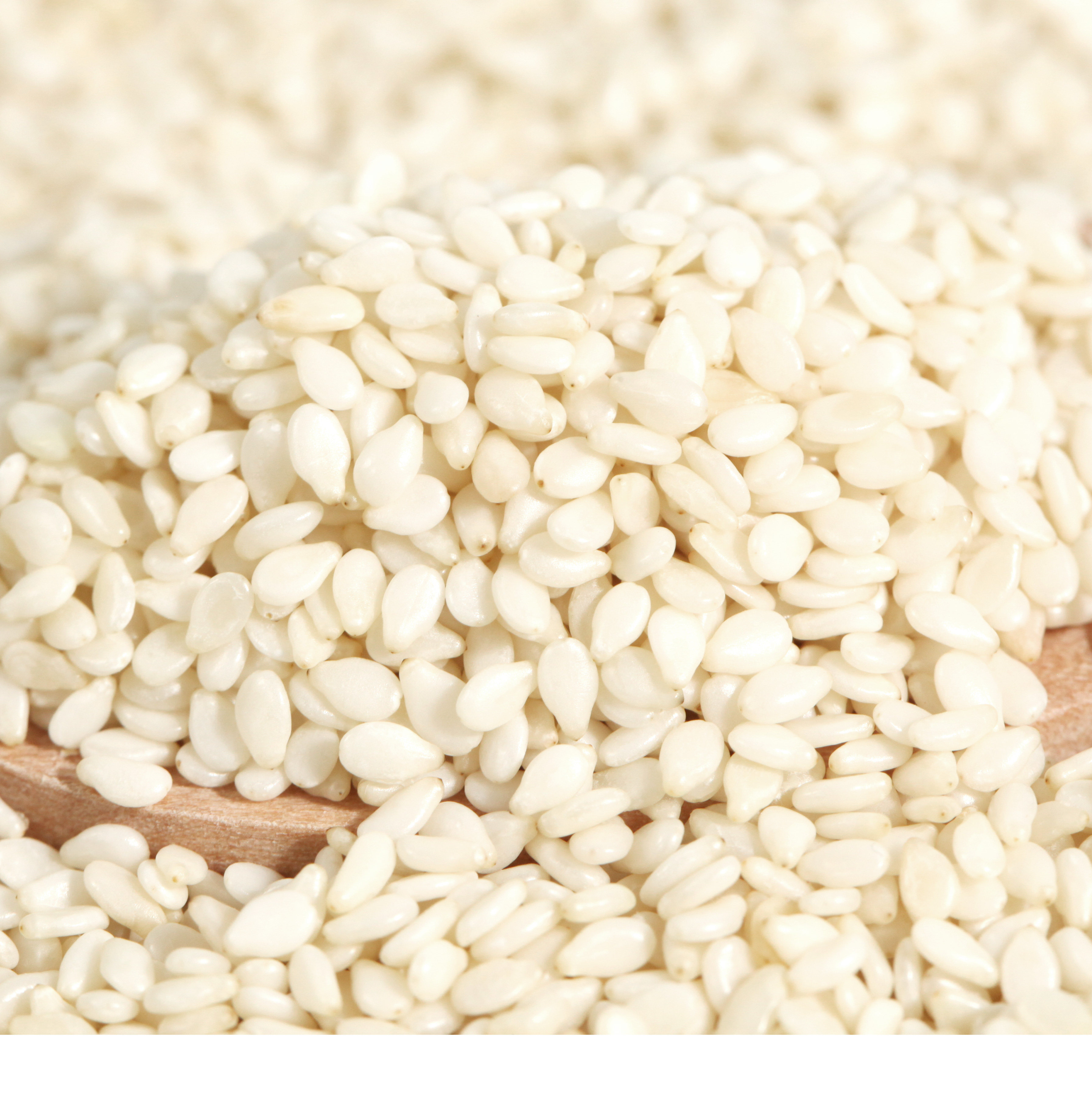 芝麻白芝麻炒熟榨油无沙生白干净新芝麻去皮500g其它粮食